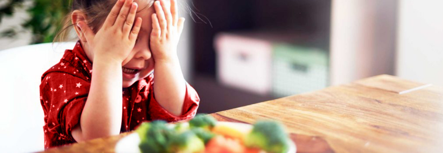 4 Resep Makanan untuk Anak 2 Tahun yang Susah Makan | Morinaga Platinum